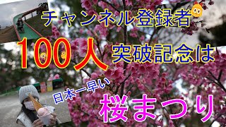 4K【沖縄北部探検 2022年】登録者数100人突破記念で北部八重岳のさくら祭りを探検してみた (2022年02月05日)沖縄観光