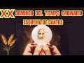 Esquema para el Domingo XX Ciclo 