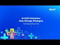 ArcGIS Enterprise: Data Storage Strategies