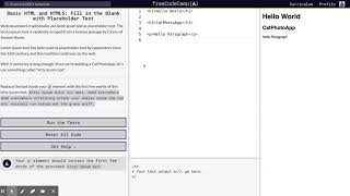 Learn Basic HTML and HTML5: Fill in the Blank with Placeholder Text | freeCodeCamp.org 05