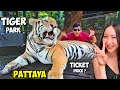 Bangkok to Pattaya Tiger Park | Transport, Ticket Prices & Tips @RahiRoaming#TigerParkPattaya