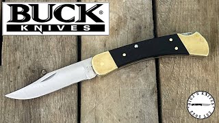 Vintage 2 Dot Buck 110 Folding Hunter