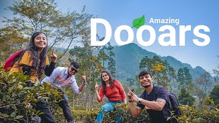 DOOARS - The Most Beautiful 😍 | Dooars Tour | Feet Outside