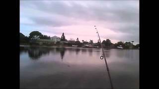 Tarpon fishing off the Tomoka River