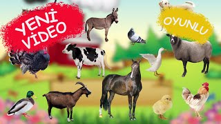 🐄 🐥 ÇİFTLİK HAYVANLARINI ÖĞRENİYORUZ  🐎  | Çocuklar İçin - Okul Öncesi Eğitim