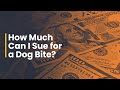 Dog Bite Lawsuit - How Much Can I Sue for?