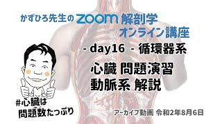 zoom解剖学 day16 循環器系 - 心臓 問題演習／動脈系 解説