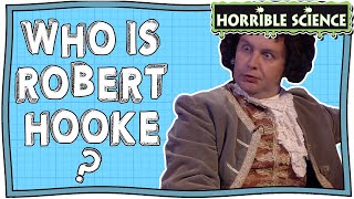 Who is Robert Hooke? | Horrible Science | Nugget