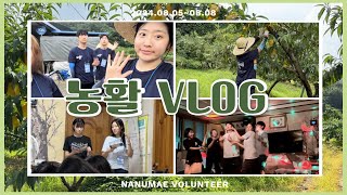 [명지대학교 홍보기자단] 무더운 여름 농활 vlogㅣ홍기단 23기 예지와 함께 복숭아 따러 가요~!