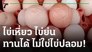 ผิวไข่ย่นทานได้ ไม่ใช่ของปลอม | 30-06-65 | ตะลอนข่าว