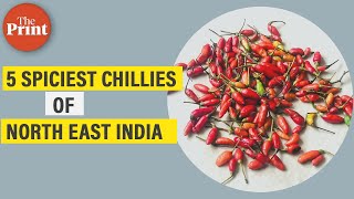 What are some of the spiciest chillies of Northeast India?