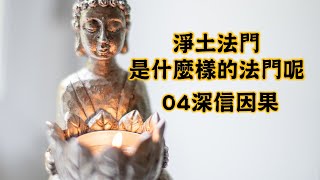 淨土法門是什麼樣的法門呢？04深信因果｜慧淨法師文章