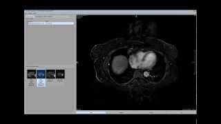 FUSIMO software demonstrator