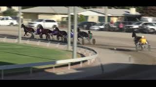 Mildura Harness Racing Club- 22 Jan 2025 Trial 4