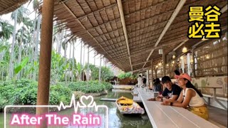 🇹🇭 泰国必到After The Rain 咖啡馆 | 喝茶可以免费乘船？| 环境优美 | 打卡圣地 | 食物超值又美味 Famous Cafe among Thais | Relax \u0026 Chill