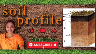 Soil profile | Subscribe our Geo Green channel | 👈🏾👈🏾👈🏾