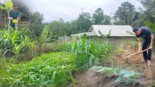 hidup di kebun, menjalani kehidupan merawat kebun,hujan deras, menikmati malam hari yang sunyi