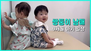 쌍둥이일상 | 9개월 아기 일상브이로그 | 쌍둥이남매둥이 쌍둥이육아브이로그 | 둥이아빠