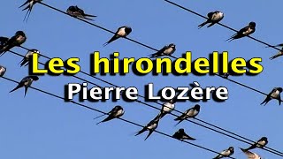 Les hirondelles de Pierre Lozère