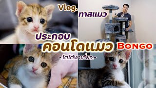 ประกอบคอนโดแมว Bongo จากร้าน Kingkong Petshop | Vlog ทาสแมว | @TotoStoriesTH