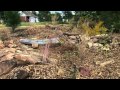 Rain Garden Planting