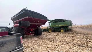 Corn 🌽harvest 2024