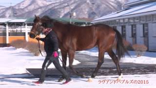 ラヴアンドバブルズの2015