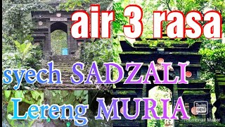 Air tiga rasa syech sadzali rejenu lereng muria kudus 3 karomah terhebat dalam air 3 rasa