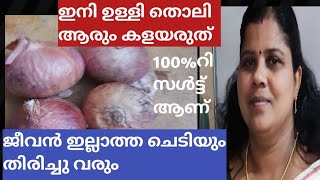 സവാള തൊലി കളയരുത്Onion peel the best natural fertilizer for any plants