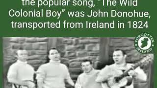 The Clancy Brothers & Tommy Makem - Wild Colonial Boy