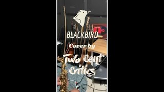 Blackbird - (The Beatles cover) - Two Cent Critics [Full Music Video]