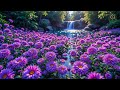 (No ADS ) MORNING RELAXING MUSIC - Euphoric Positive Energy & Stress Relief - Calm Morning Music #1