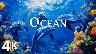 WONDERS OF OCEAN 4K - Scenic Sea Wildlife Film With Calming Music - Sea Animals for Relaxation