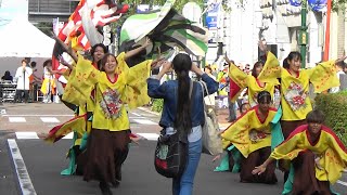 [横浜よさこい]東京農業大学YOSAKOIソーラン同好会百笑