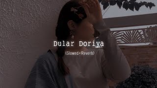 Dular Doriya | Santali Romantic Song Lo-Fi (Slowed + Reverb) | Shibam 2.0