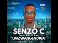 Senzo C - Umzwangendwa (Lyrics Video)