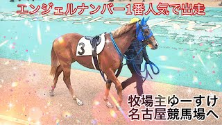 【名古屋競馬場に生産馬を応援しに行きました】エンジェルナンバーが1番人気で出走！