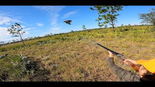 Sterndog Hunts - Quail Hunting Safety Meeting -  How to Be Safe on a Quail Hunt