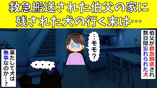 【ほっこり】救急搬送された伯父の家に残された犬の行く末は…【修羅場】