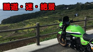 【絶景】大型バイクで林に迷い込んだ結果がヤバかった･･･【ZRX1200DAEG,CBR650F】