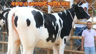 বকনা ও প্রেগন্যান্ট গাভীর দাম | Rashid Dairy Farm | BD Krishi