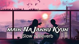 Main Na Jannu Kyun ( slow + Reverb) lofi Song 2024 @jubinnautiyal