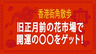 「香港街角散歩」旧正月前のフラワーマーケットで開運の〇〇をゲット！住人のように歩く香港旅行