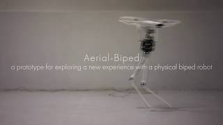 Aerial-Biped