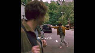 Bloodwitch-Fly