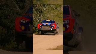 RALLY WRC 2024 Crazy moments