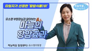 마늘효능!! 타임지가 선정한 ‘항암식품 1위’ [강력한 항암식품, 알리신, 폴리페놀, 플라보노이드, 하늘마을 힐링센터]