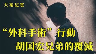 毀滅無數人的兩兄弟，胡國宏兩兄弟覆滅記，大案紀實