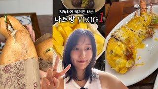 🇻🇳 겨울에 떠난 3박 4일 나트랑.. 좋트랑 / 아미아나 리조트, 랍스터, 반미 맛집