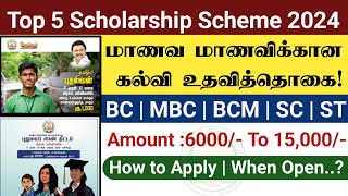 Top 5 Scholarship Scheme Students 2024 | Scholarship 2024 | scholarship tamil 2024 | bc mbc sc st